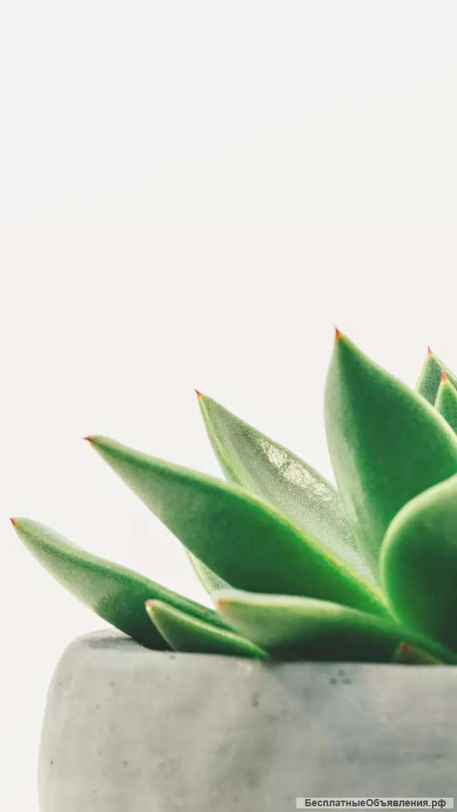 Гадание, диагностика энергетики здоровья