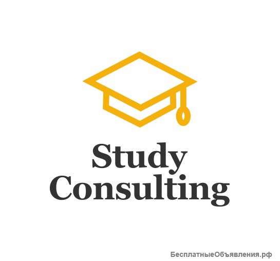 Компания Study Consulting ищет партнеров в России