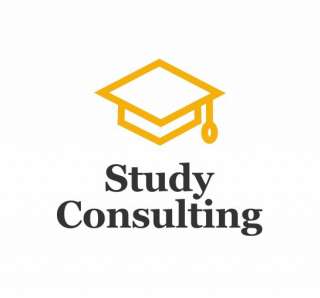 Компания Study Consulting ищет партнеров в России