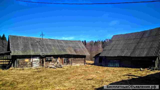 Живописный хуторок у ручья и соснового леса, домик, баня, 2 Га. земли