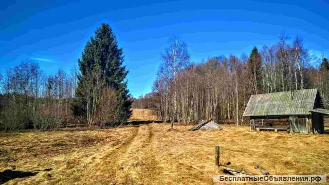 Живописный хуторок у ручья и соснового леса, домик, баня, 2 Га. земли