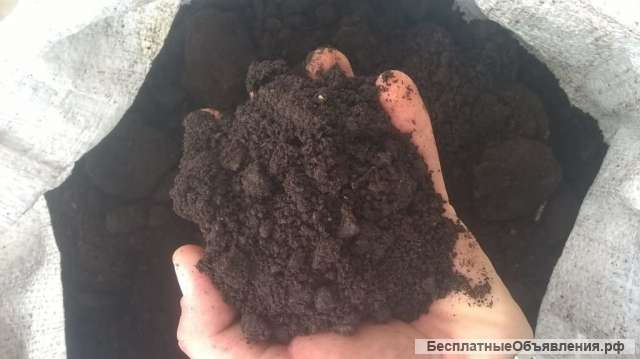 Торф фасованный (для мульчирования почвы)
