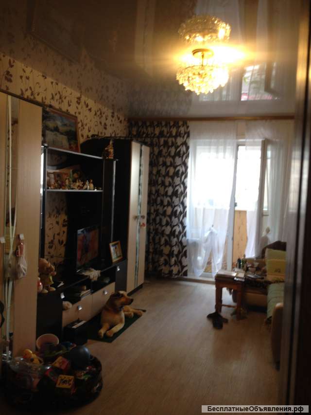 2-комнатная квартира с видом на Бердский залив