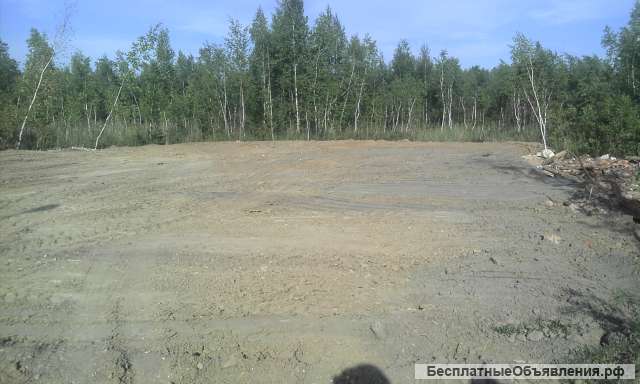 Участок 31 км МКАД Ногинский район