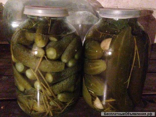 Соления. Огурцы бочковой засолки