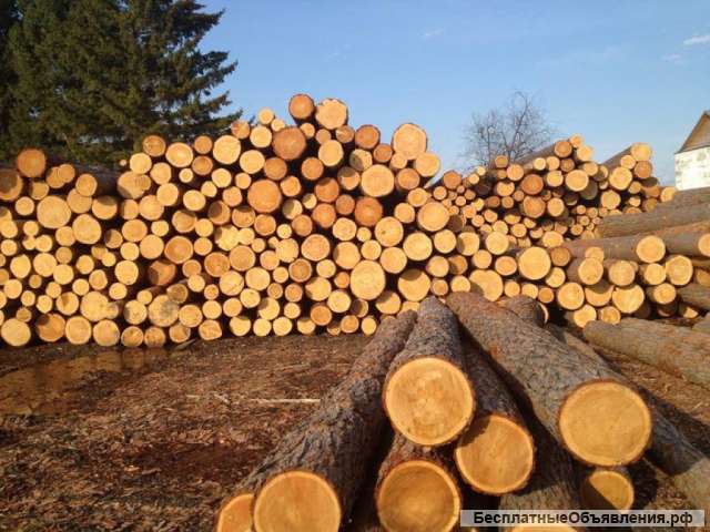 Лес кругляк