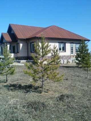 Дом - коттедж, п.Элита