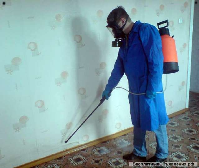 Уничтожение насекомых