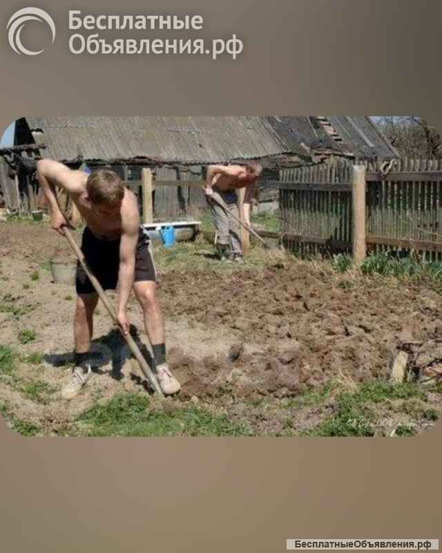 Вскопать вспахать вспашка огород землю. в Артеме