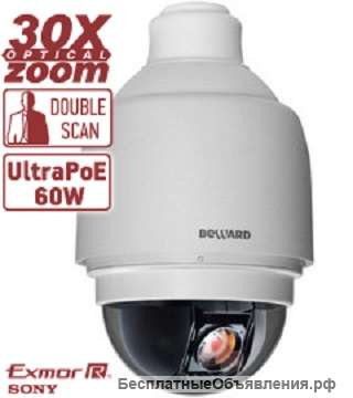 BD135P купольная IP камера