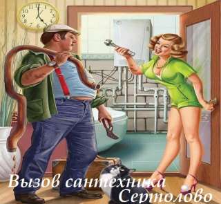 Вызов сантехника в Сертолово