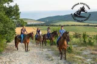 Конные прогулки в предгорьях Кавказа