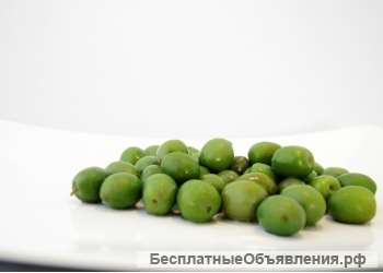 Оливки в рассоле Ночеллара 2кг (сухой вес) - Италия