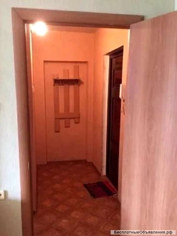 1 комнатную квартиру в Сочи