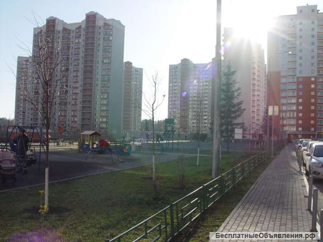 Сдам комнату 16 кв