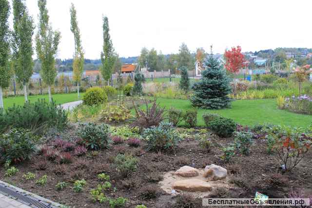 Ландшафтный дизайн в Павловском Посаде