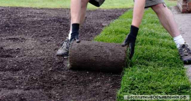 Ландшафтный дизайн в Павловском Посаде