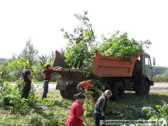 Ландшафтный дизайн в Павловском Посаде