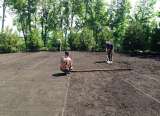 Озеленение участка и дизайн в Москве