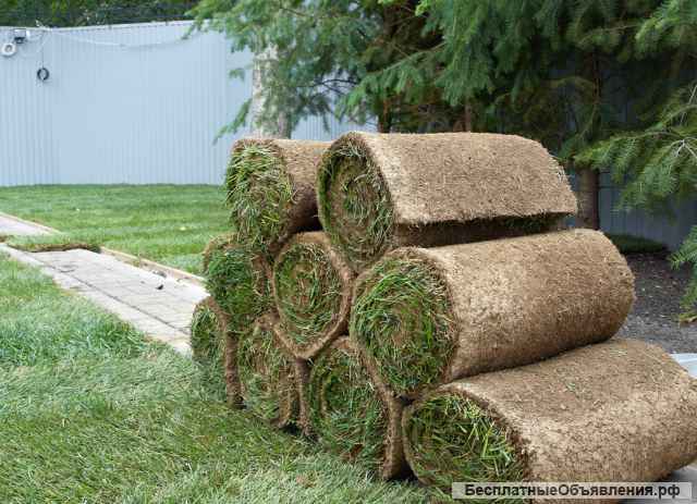 Заказать обустройство территории в Ногинске