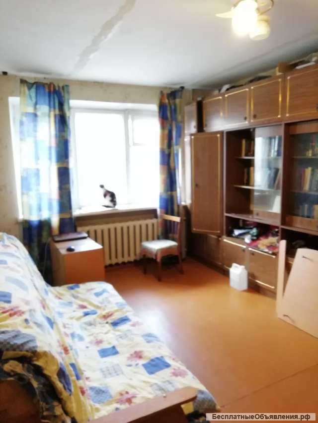 1-комнатную 31 кв.м., на Горького.