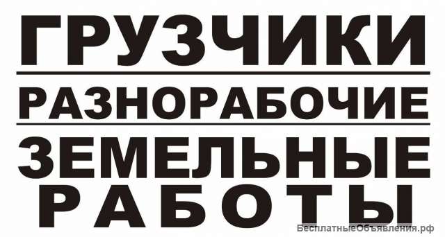 Грузчики