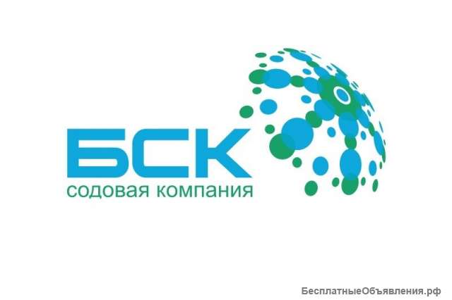 Покупаем акции АО "Башкирская содовая компания"
