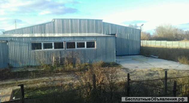 Фермы КРС в Грайворонском районе Белгородской области