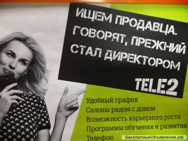 Продавец-консультант