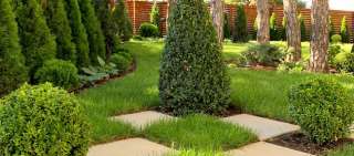 Рулонных газонов по всей России