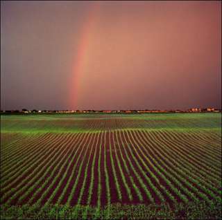 Земельный участок, сельхоз назначение
