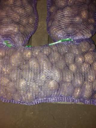 Картофель оптом, сорт Невский, с доставкой