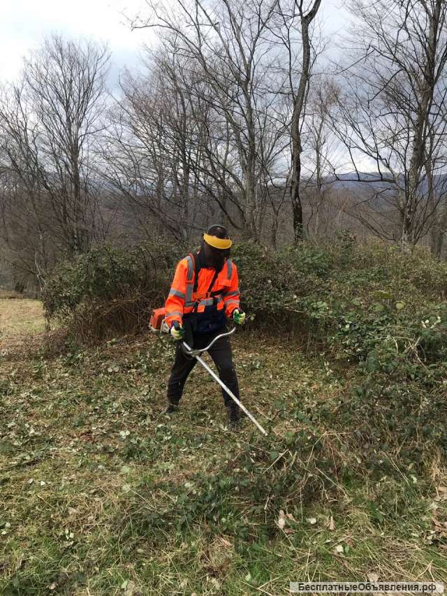 Расчистка участков