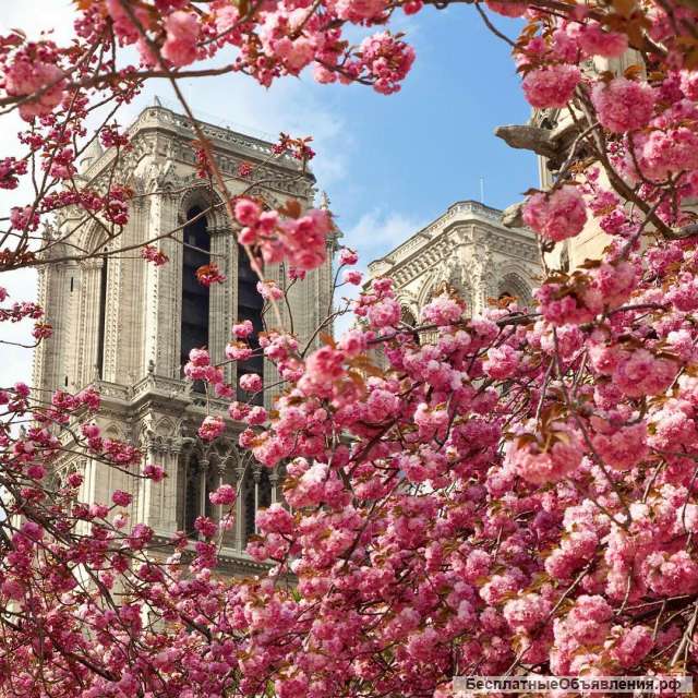 Шенген виза до 5 лет в ваш паспорт