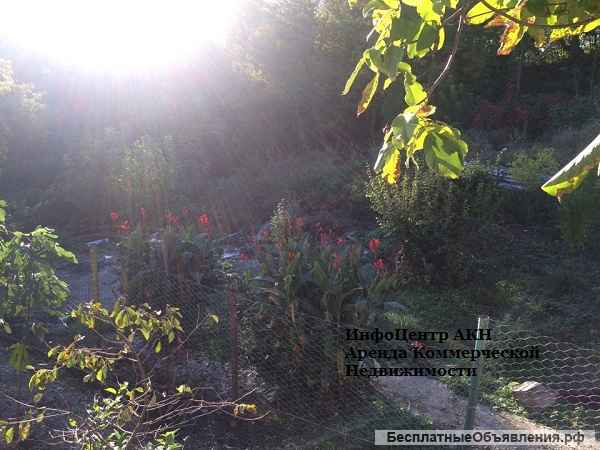 Земельный участок в п. Бетта- Геленджик.