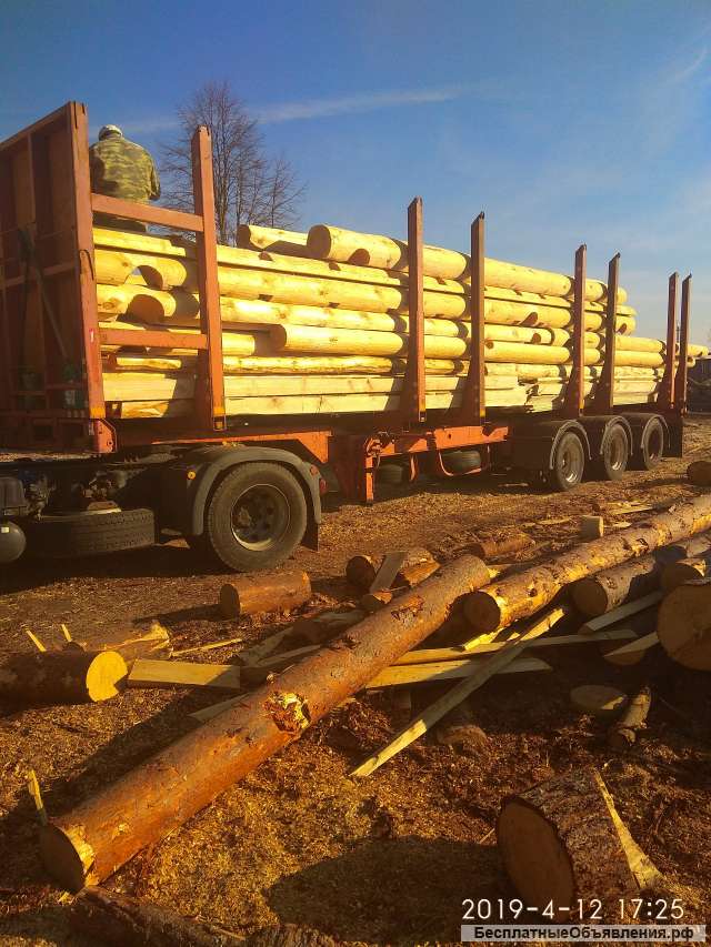 Сруб дома из цельного бревна