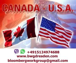 Официальное трудоустройство США, Канада, ЕС, все вакансии бесплатные