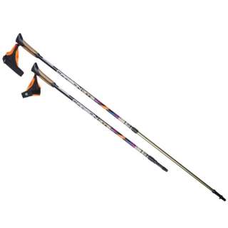 Палки для скандинавской ходьбы US Medica GTS