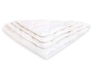 Одеяло DreamLine Шелк зима