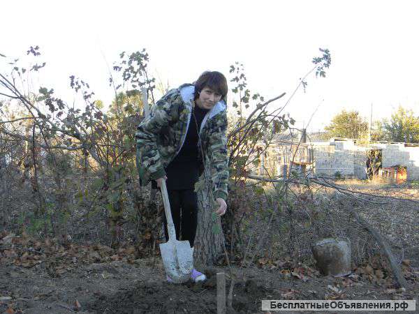 Земельный участок