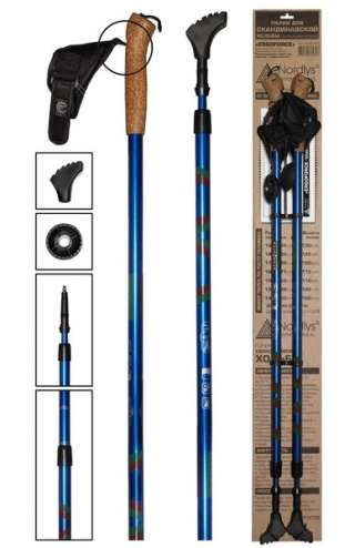 Палки для скандинавской ходьбы GESS Basic Walker 919