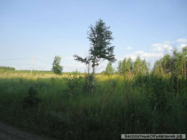 Земельный участок