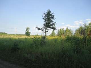 Земельный участок