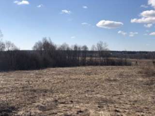 Земельный участок в д. Пречистое Истринского района Московской области