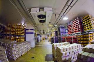 Сыр весовой оптом от производителя