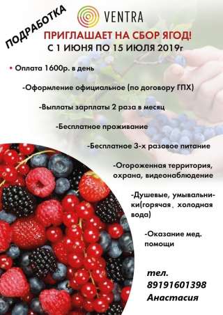 Требуются сборщики ягод