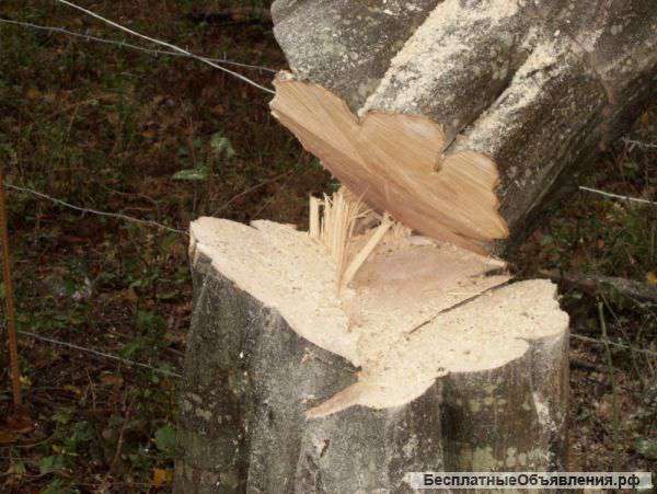 Расчистка Участков Сочи