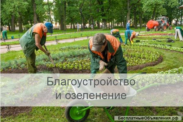 Благоустройство, уборка территории