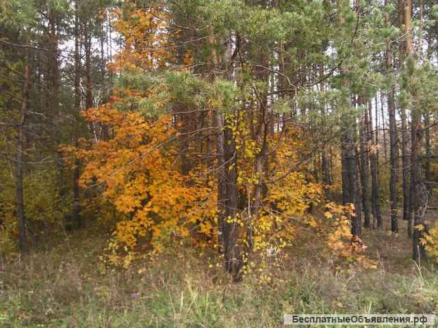 Земельные участки посёлок Калиново, озеро Таватуй