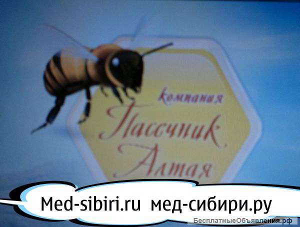 Мед из Алтайского края